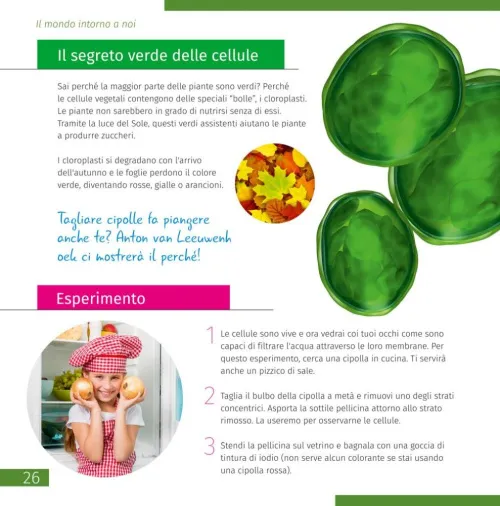 image Levenhuk Discovery Micro Microscope with book,  7