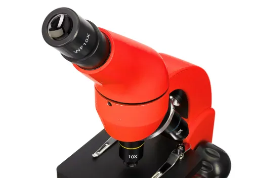 photo Levenhuk Rainbow 50L Microscope,  11