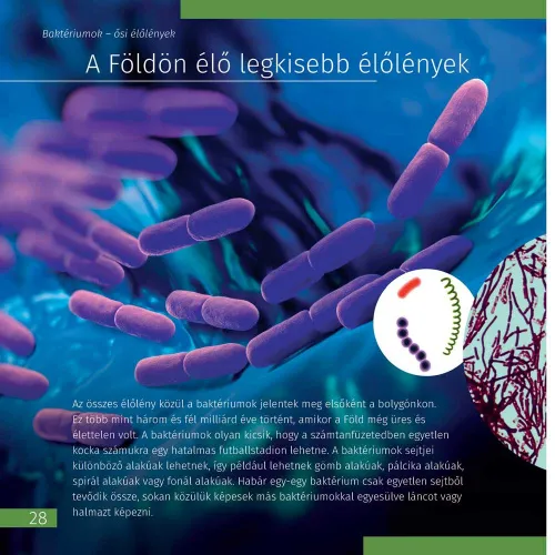 photo Invisible World. Knowledge book,  5