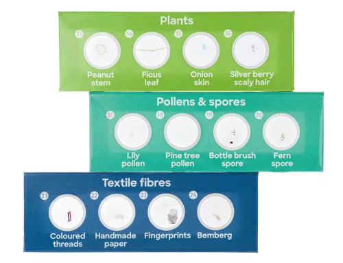 photo Levenhuk Discovery Flora 12 Prepared Slides Set,  3