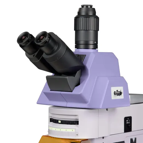 picture MAGUS Lum 490L Fluorescence Microscope,  10