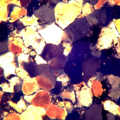 image MAGUS Pol D850 Polarizing Digital Microscope,  26