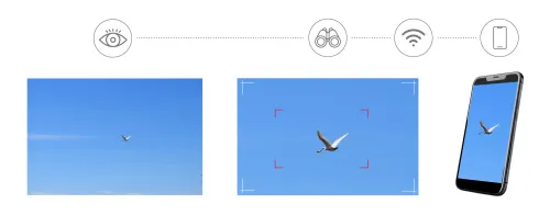 photo Levenhuk Kelvin Snap ED 8x42 Digital Photomonocular,  4