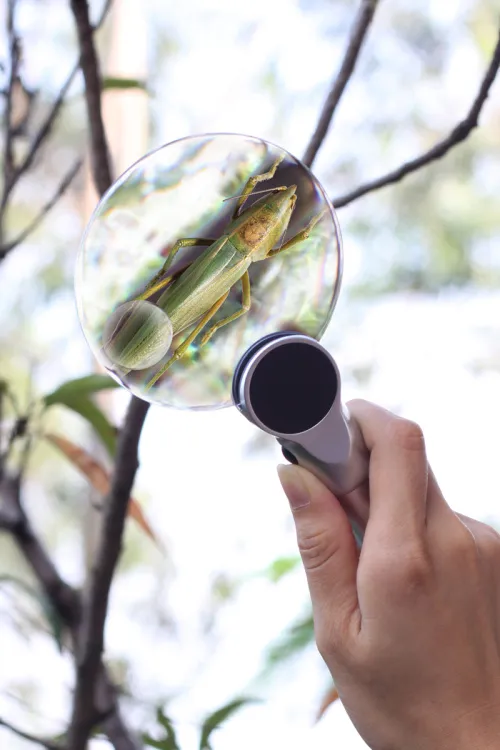 image Levenhuk Zeno 400 LED Magnifier, 2/4x, 88/21mm, Metal,  9