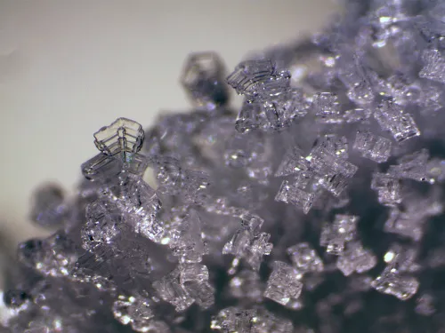 image Bresser Erudit ICD Stereo Microscope,  11