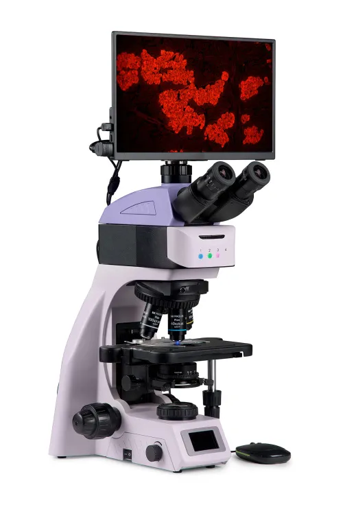 picture MAGUS Lum D460L LCD Fluorescence Digital Microscope,  3