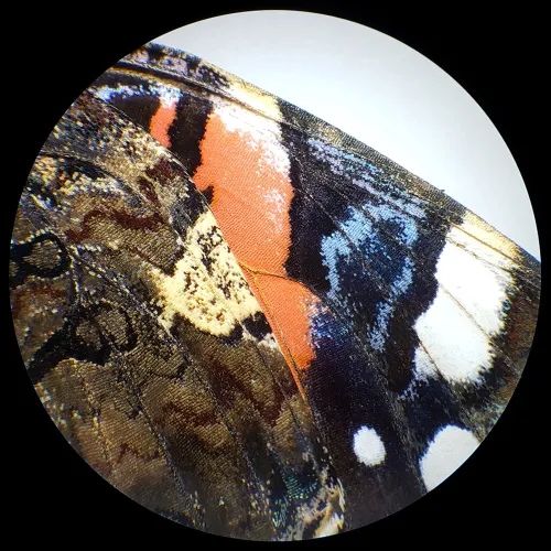 photo Bresser Analyth STR 10x - 40x stereo microscope,  6