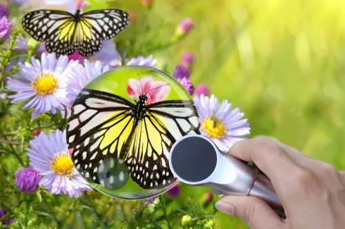 image Levenhuk Zeno 400 LED Magnifier, 2/4x, 88/21mm, Metal,  7