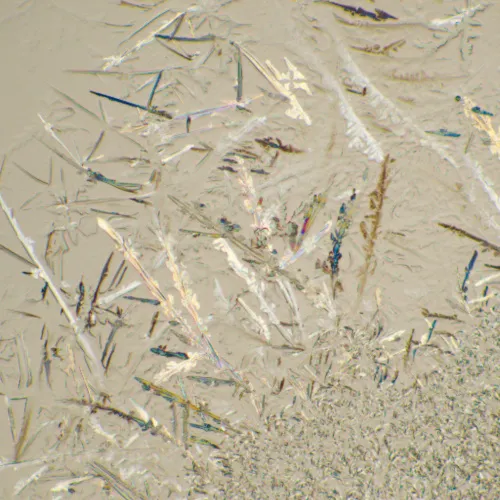 photograph MAGUS Bio D230T LCD Biological Digital Microscope,  29