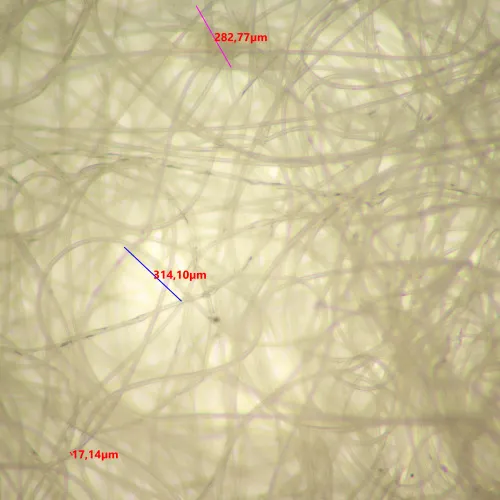 image MAGUS Stereo 9T Stereomicroscope,  20