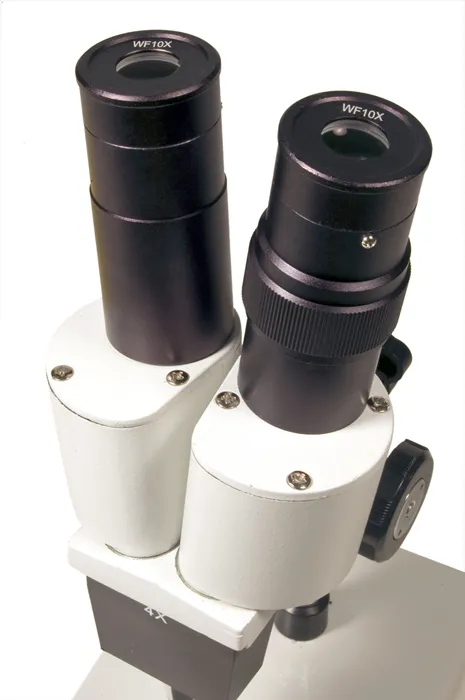 picture Levenhuk 2ST Microscope,  4