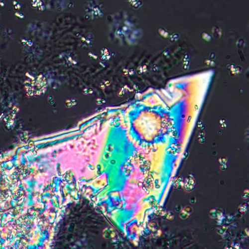 photo MAGUS Pol 800 Polarizing Microscope,  17