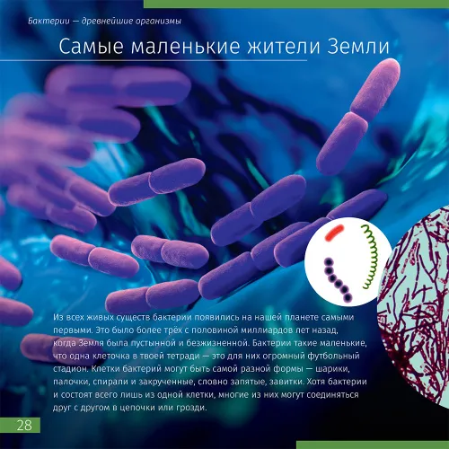 photo Invisible World. Knowledge book,  5