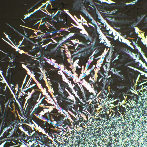 photo MAGUS SPD3 Polarizer/Analyzer Set,  6