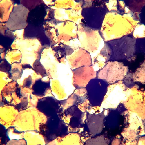 picture MAGUS Pol D800 LCD Polarizing Digital Microscope,  24