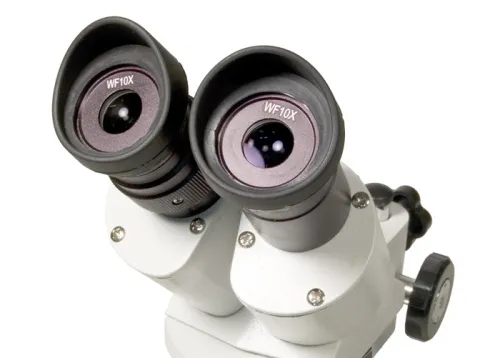 photograph Levenhuk 3ST Microscope,  3