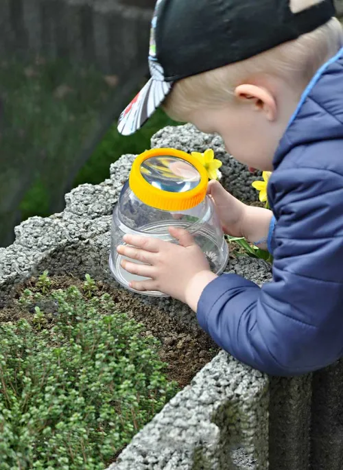 image Bresser National Geographic 5x XXL Bug Magnifier,  6