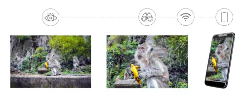 photograph Levenhuk Kelvin Snap ED 8x42 Digital Photobinoculars,  9