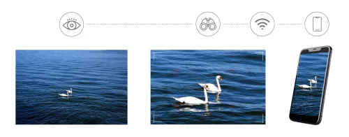 photograph Levenhuk Kelvin Snap ED 8x42 Digital Photobinoculars,  5