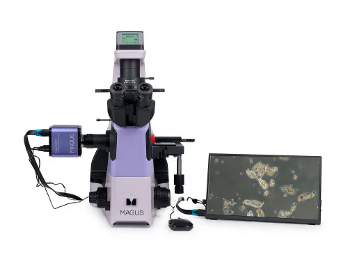 image MAGUS Bio VD360 LCD Biological Inverted Digital Microscope,  4