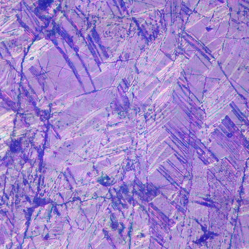 photo MAGUS Metal V700 DIC Metallurgical Inverted Microscope,  17