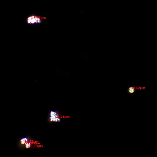 photograph MAGUS SPD1 Polarizer/Analyzer Set,  8