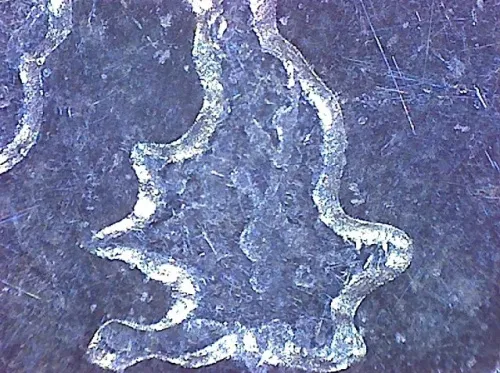 image Omegon DigitalView USB hand Microscope,  5