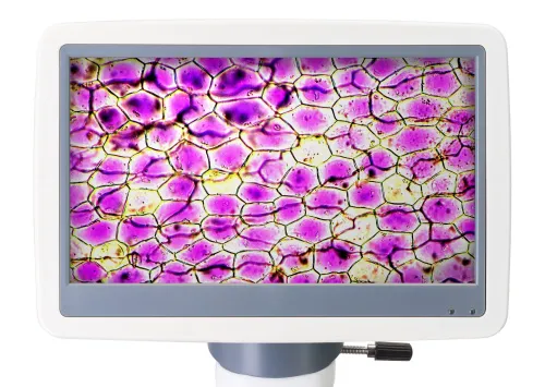 picture Levenhuk D85L LCD Digital Microscope - Exhibition Item,  6