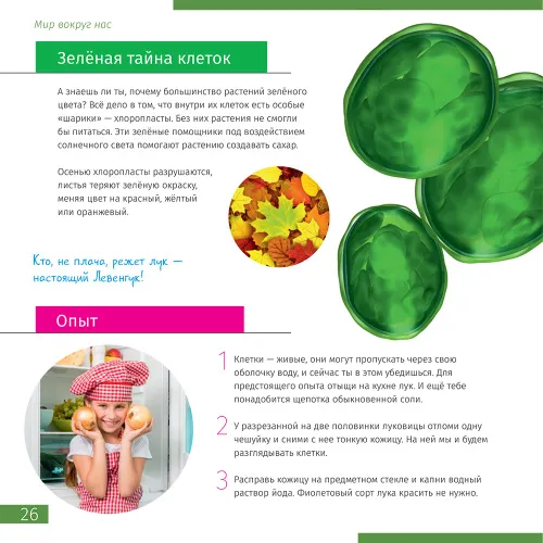 photo Invisible World. Knowledge book,  4