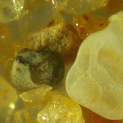 photo MAGUS Stereo D9T Digital Stereomicroscope,  25