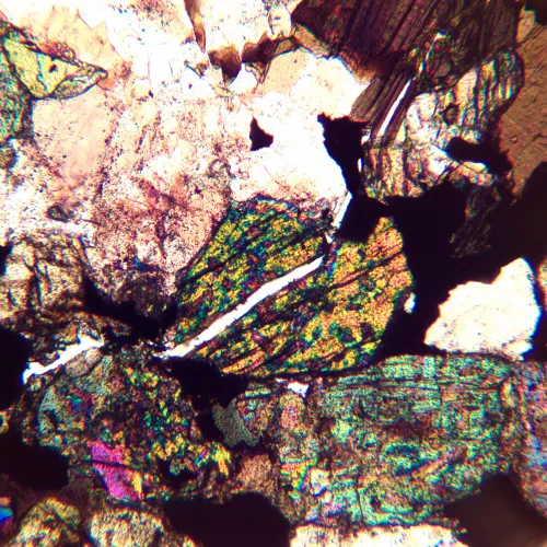 photo MAGUS Pol 890 Polarizing Microscope,  24