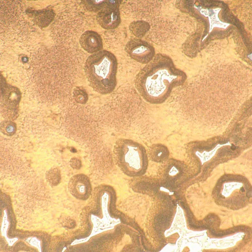 picture MAGUS Metal 650 Metallurgical Microscope,  18