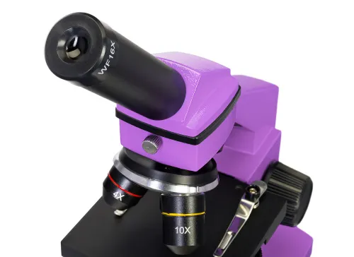 picture Levenhuk Rainbow 2L PLUS Microscope,  8