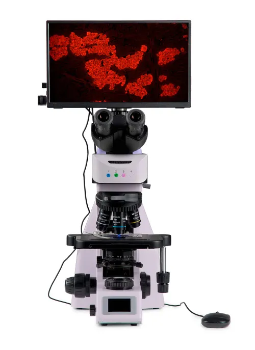 picture MAGUS Lum D460L LCD Fluorescence Digital Microscope,  9