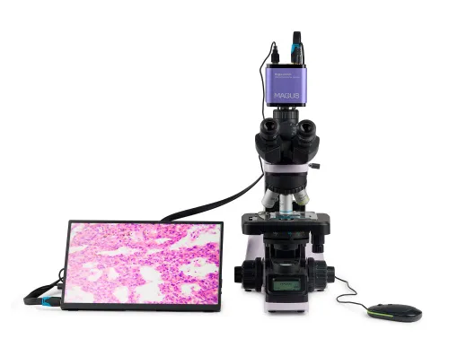 image MAGUS Bio D240T LCD Biological Digital Microscope,  5