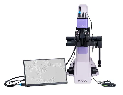 image MAGUS Bio VD350 LCD Biological Inverted Digital Microscope,  6