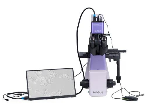 photograph MAGUS Bio VD300 LCD Biological Inverted Digital Microscope,  6
