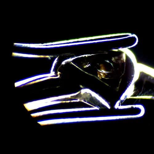 image MAGUS Stereo 7B Stereomicroscope,  18