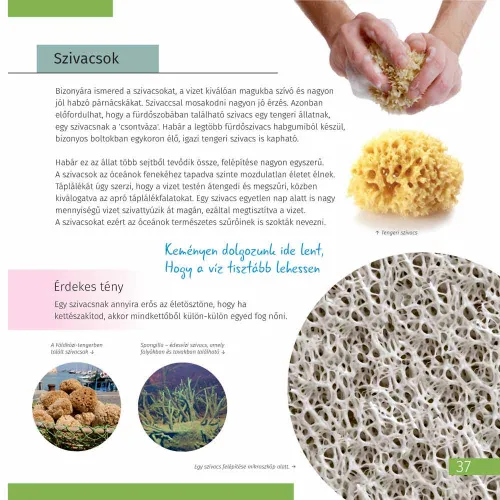 photo Invisible World. Knowledge book,  3