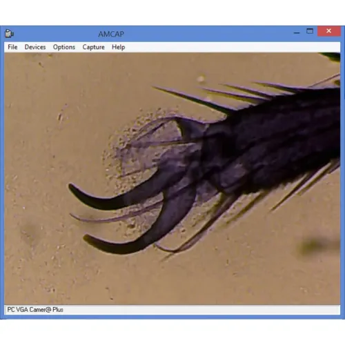 picture Omegon MonoView, MicroStar 1280x LED Microscope,  4