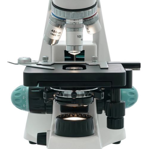 Levenhuk 500B Binocular Microscope – Buy from the Levenhuk official ...