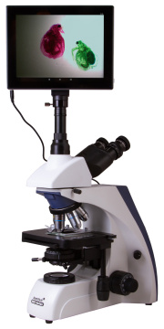 Foto Levenhuk-Digital-Trinokularmikroskop MED D30T LCD