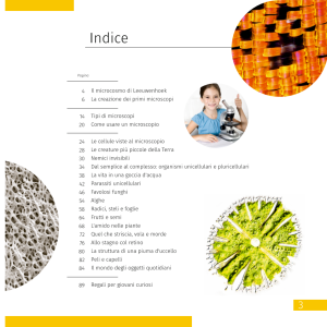 Tresor Microscopio Ottico Femto Polar con Libro Educativo, Ingrandimento Microscopio  Ottico, Parti del Microscopio Ottico