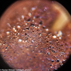 obrázek Mikroskop Levenhuk Rainbow 50L PLUS