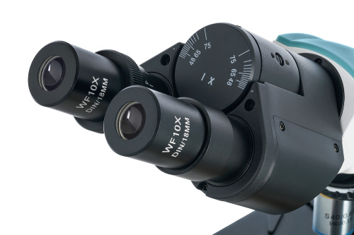 Levenhuk 400B Binocular Microscope – Buy from the Levenhuk official ...
