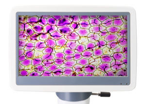Abbildung Levenhuk-Digitalmikroskop D85L LCD