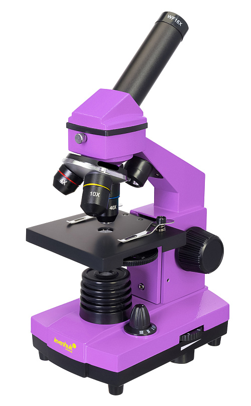 picture Levenhuk Rainbow 2L PLUS Microscope